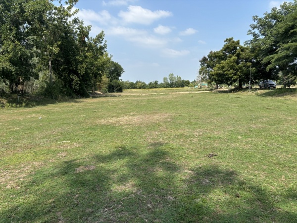 ���Թ �������