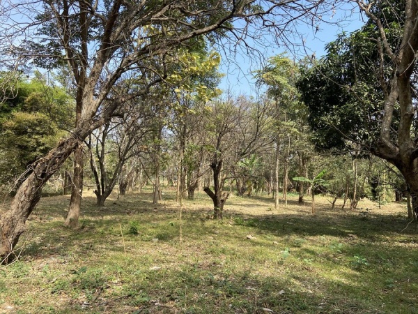 ��·��Թ ������ྪú���