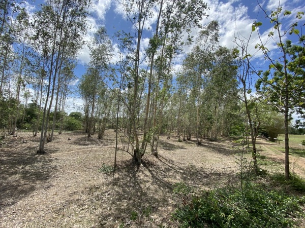 ��·��Թ ������ྪú���