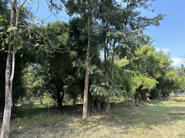 ��·��Թ ������ྪú���