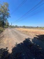 ��� ���Թ ˹ͧ����