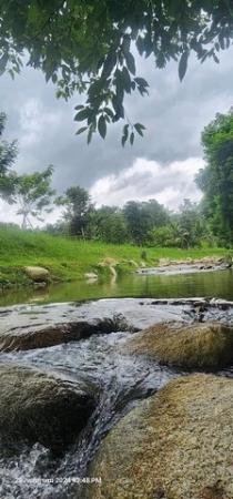 �ҧ�� �� northern1