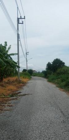 ที่ดิน 21 ไร่ ที่ดิน 21 ไร่