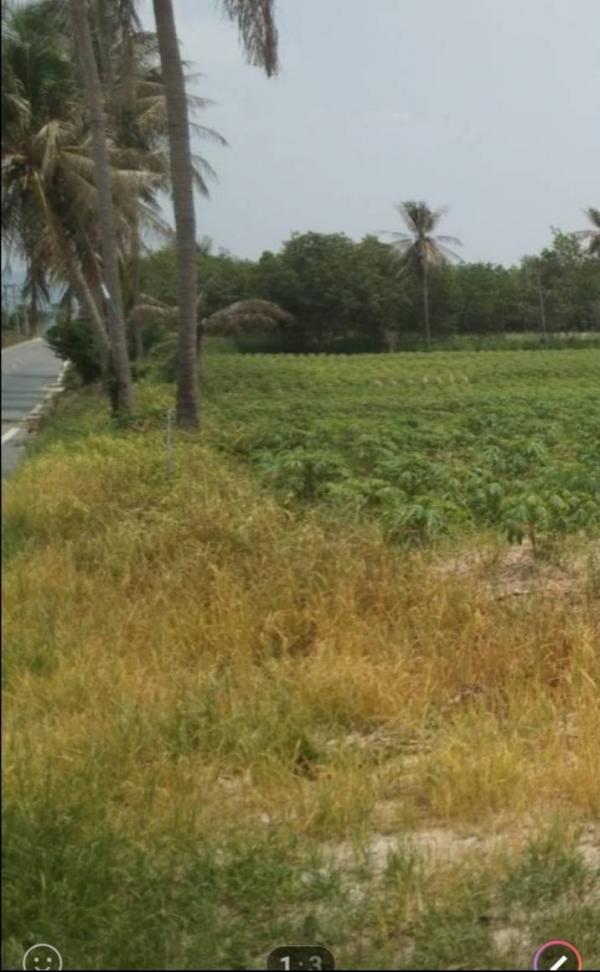 ����Ҫ� �� goodlada24