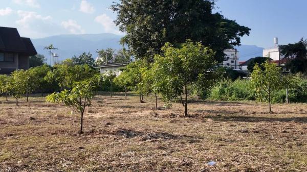 ���ͧ �� Sawasdee