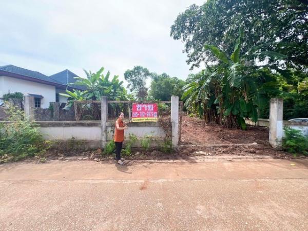 ��ªź��� �� Theproperty