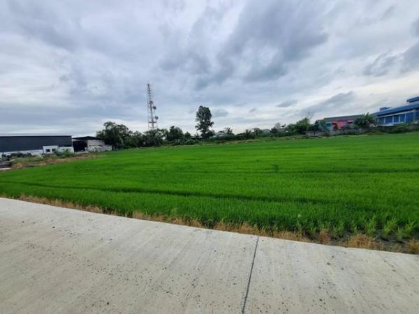 ��ͧ��ǧ �� coasset22