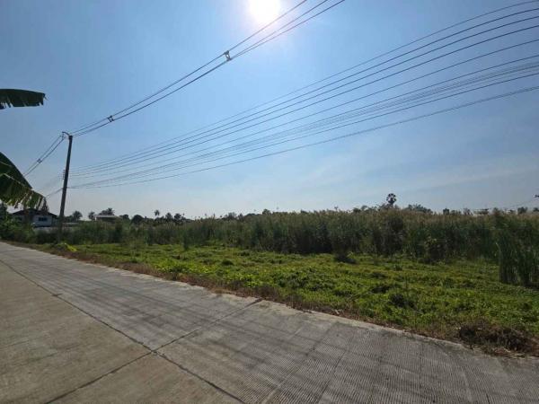 ที่ดิน ติดถนนคอนกรีต 3708 ตารางวา ที่ดิน ติดถนนคอนกรีต 3708 ตารางวา