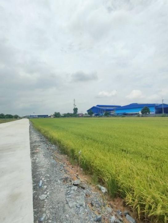 ที่ดิน 5 ไร่ ที่ดิน 5 ไร่