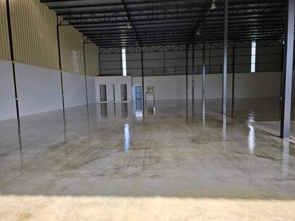 �չ���� �� ritthichai