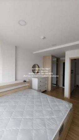 �͹����������ú �ѧ�ͧ��ҧ