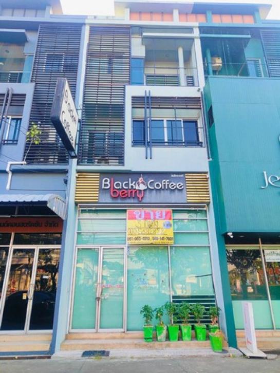 ˹ͧ�� �� zionasset1