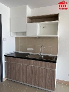 ��¤͹� �ҧ�л�