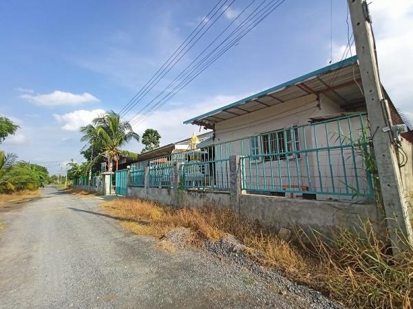 ขายโกดัง หนองจอก ขายโกดัง หนองจอก