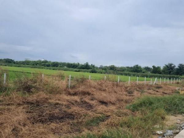 �Ҵ��кѧ �� Airatda