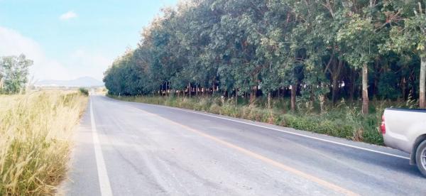 ����Ҫ� �� goodlada24