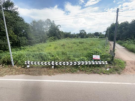 ที่ดิน 5 ไร่ ที่ดิน 5 ไร่