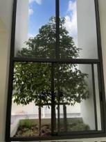 ����Ϳ��� �͹���ͧ 41 ���ҧ��