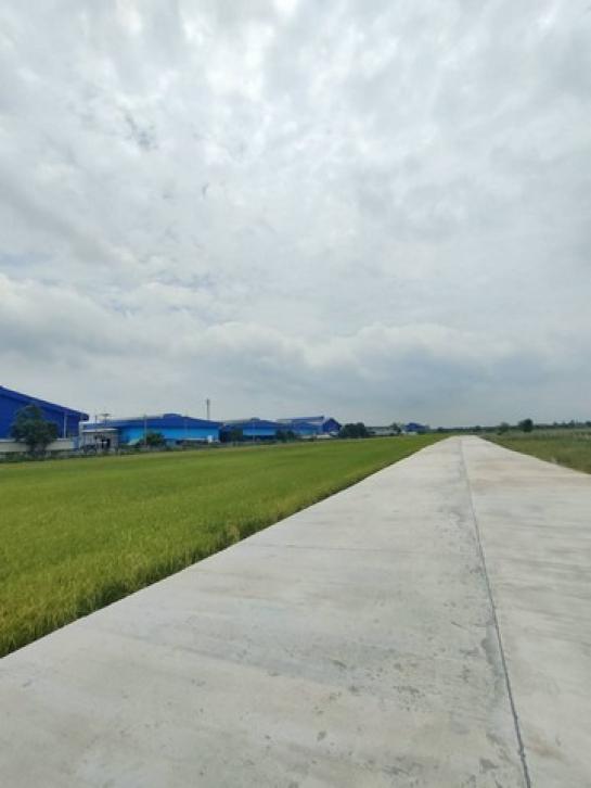 ��ͧ��ǧ �� coasset22