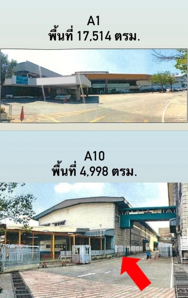 ��л��ᴧ �� 1000property