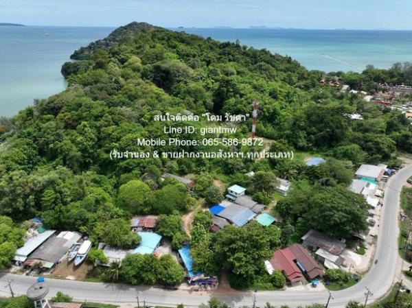 ���ͧ �� domepost66