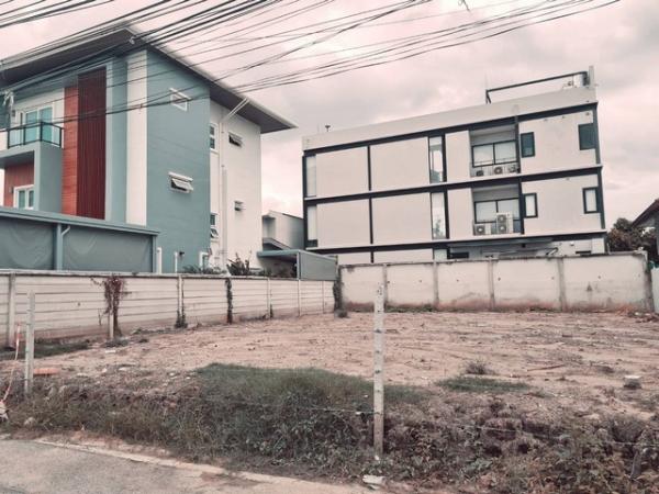 ���¢�ҧ �� naorinpl