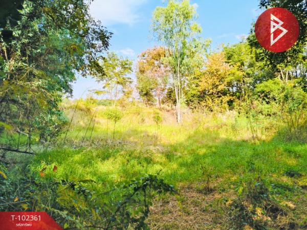 ��������ä�� �� The Best Property Agent