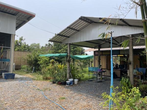 ��º�ҹ ����§ ��ҹ