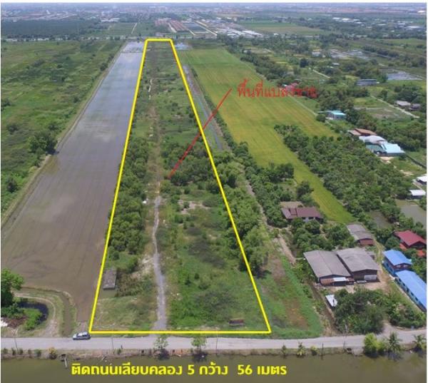 ที่ดิน 42 ไร่ ที่ดิน 42 ไร่