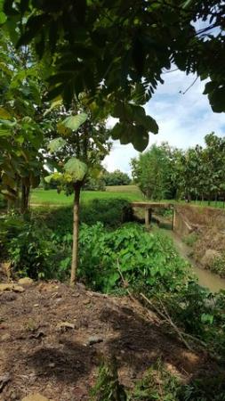 �ͧ ��� �� Noname2023