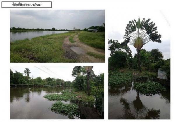 �ҧ��� �� Noname2023