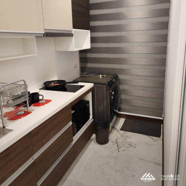 �͹���ͧ���ҧ �ҧ�ѡ