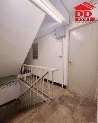 ��� ��áԨ �ҧ�͡���� 19 ���ҧ��