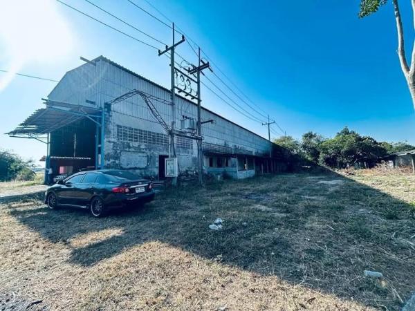 ����Ҫ� �� goodlada24