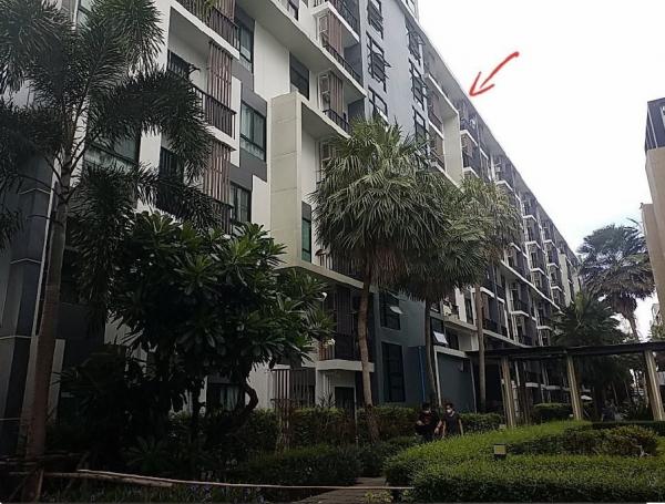 �͹ⴺҧ�� �� compos2566