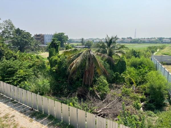 �ط����� �� amaraphat78