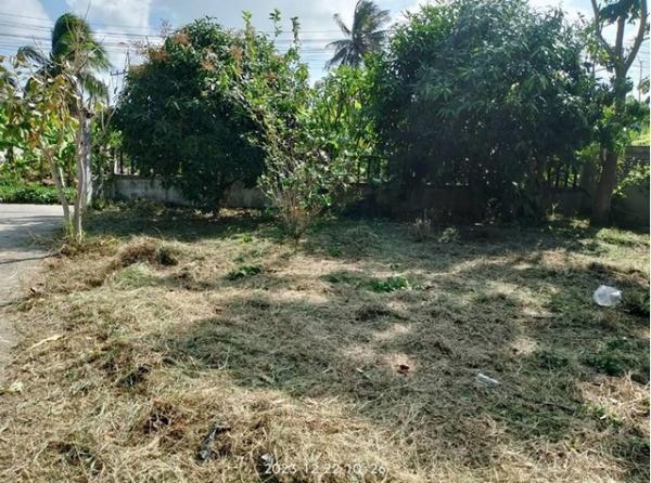 ����Թ �� zionasset1