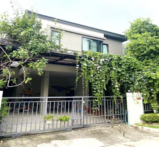 �ҧ���� �� Nuttapong