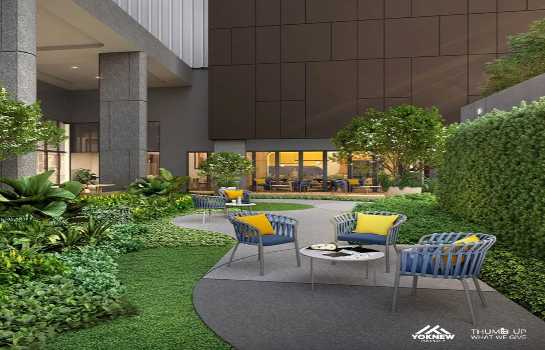 �͹���͹�ت �Ѳ��