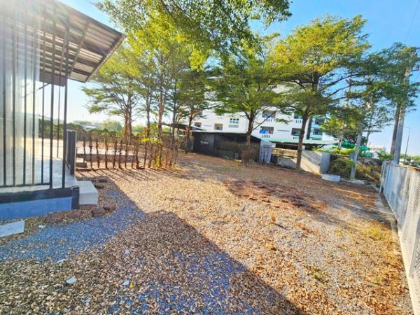 ���١�� �� calcunutgq