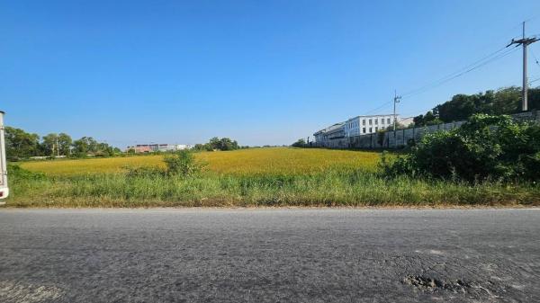 �ҧ�С� �� goodlada24