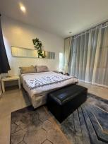 ��º�ҹ �ҧ�� ��§����