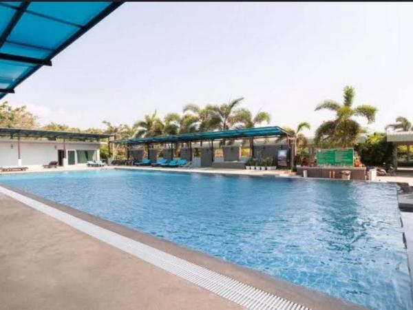 �͹����������¹�� �ź���