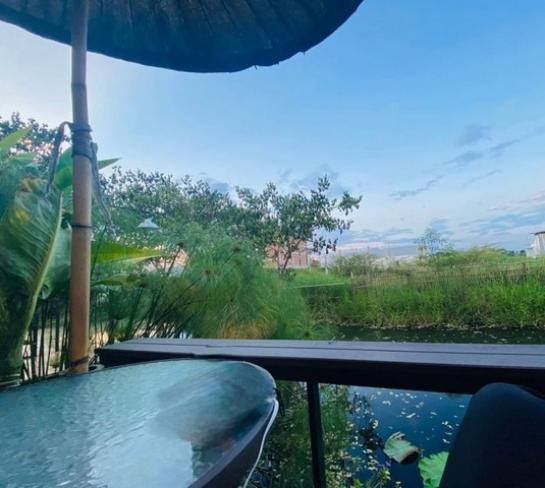 ��ҹ 197 ���ҧ�� ���������