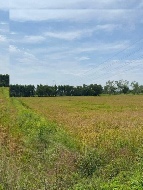 ��·��Թ �Ҥһ�С�Ȣ�� 2,800,000 �ҷ