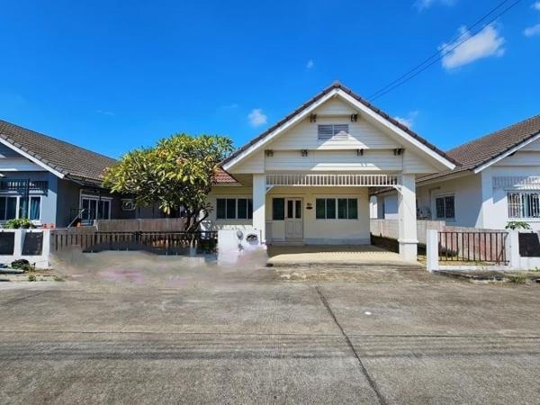 �ҧ�� �� northern1