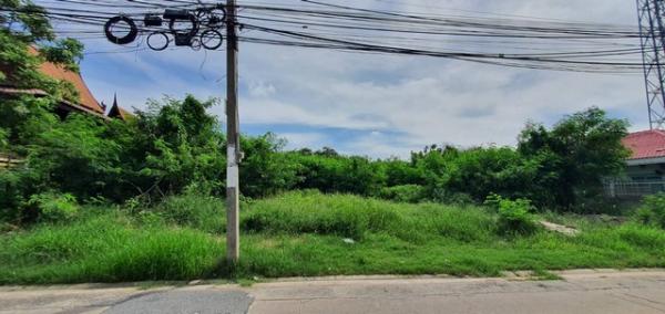 ���Թ Ŵ�Ҥ�