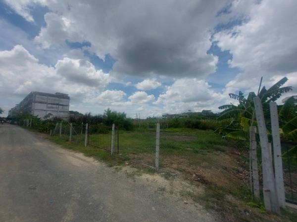 ��·��Թ 5,300,000 �ҷ