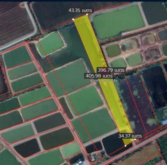 ������ �� zionasset1