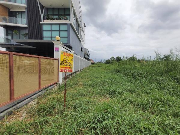 ���Թ Ŵ�Ҥ�